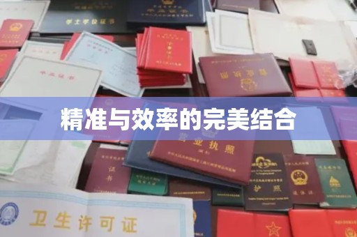 正蓝旗精准与效率的完美结合